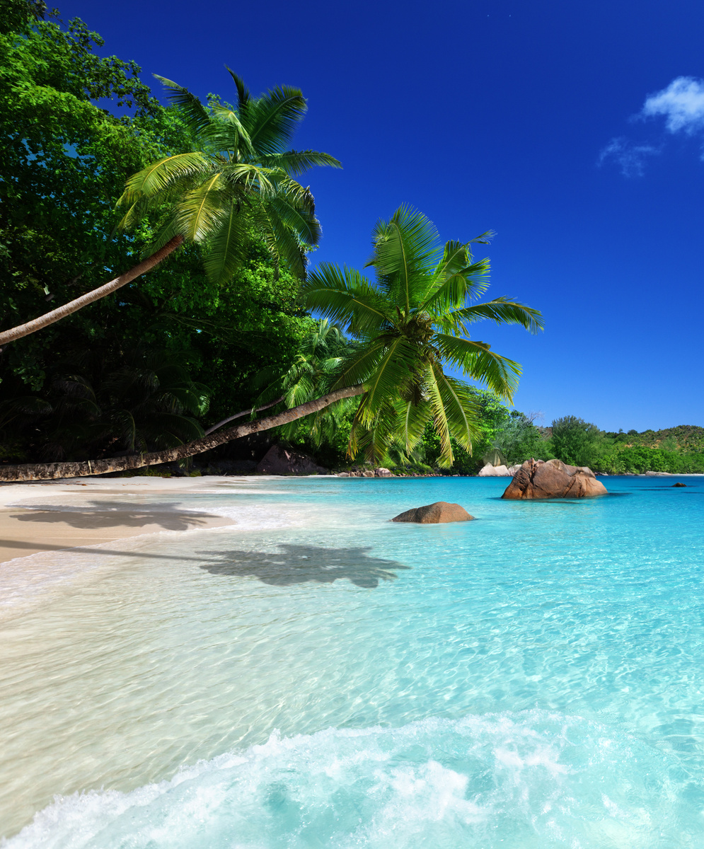 beach at Praslin island, Seychelles